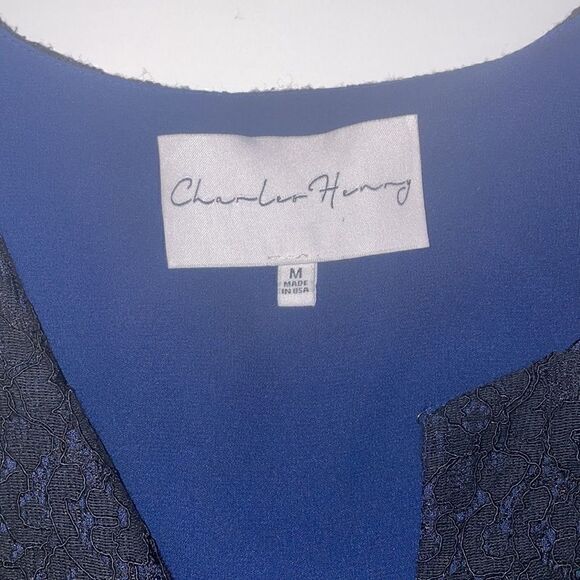 Charles Henry dress with lace popover, SZ Medium - Picture 5 of 8